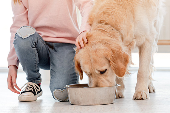 SAVORY ENTREES FOR YOUR PET