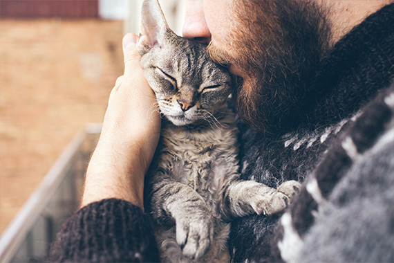 SAVORY ENTREES FOR YOUR CAT