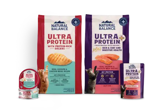 Ultra Protein for Cats