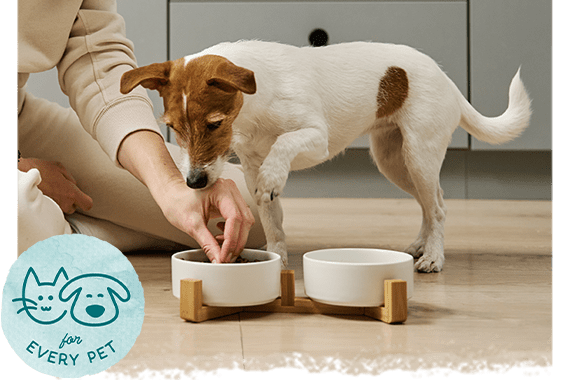 LEARN MORE ABOUT THE BENEFITS OF LIMITED INGREDIENT DIETS

