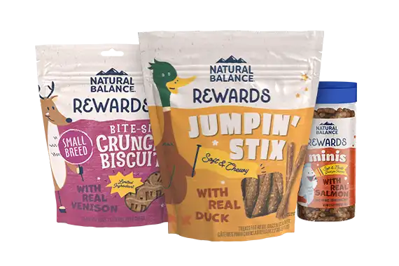 Rewards for Dogs