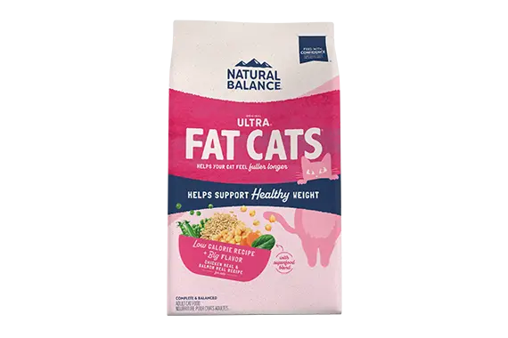 Fat Cats