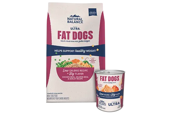 Fat Dogs