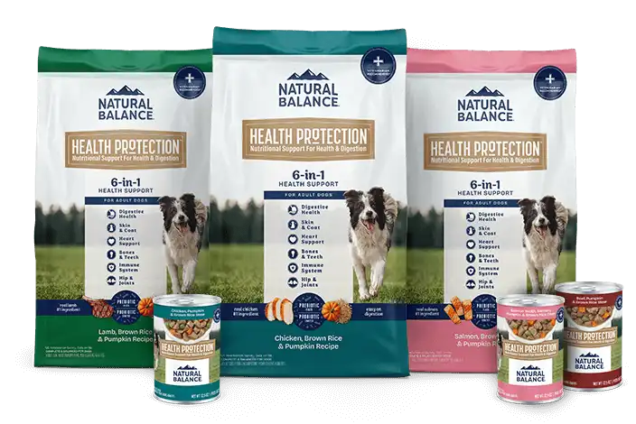 Health Protection For Dogs