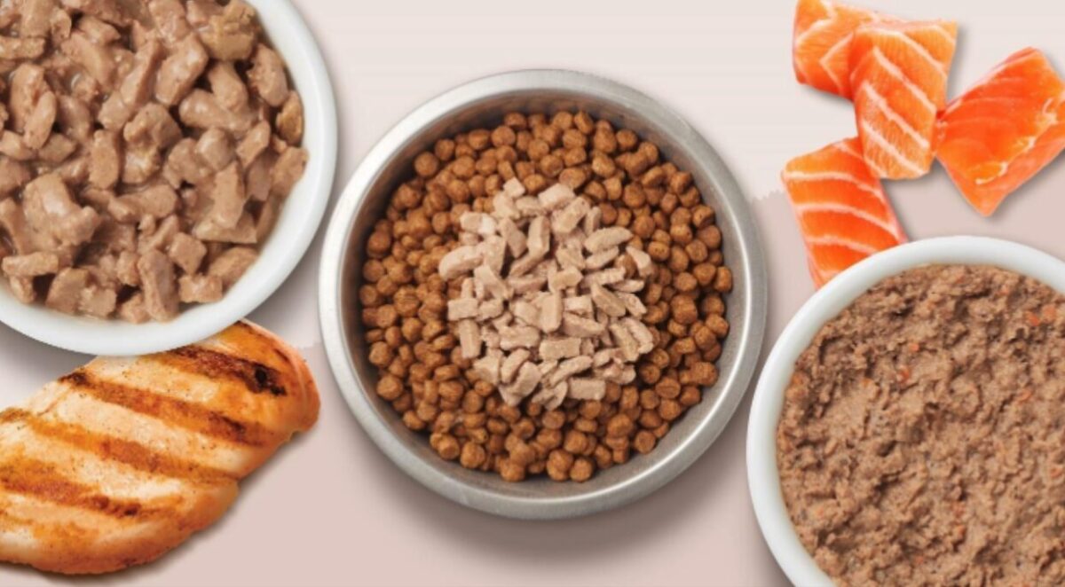 Nourishing Cats: Why Organ Meats & Moisture Matter