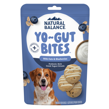 Yo-Gut Bites with Oats & Blueberries