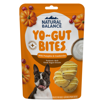 Yo-Gut Bites with Pumpkin & Cranberries