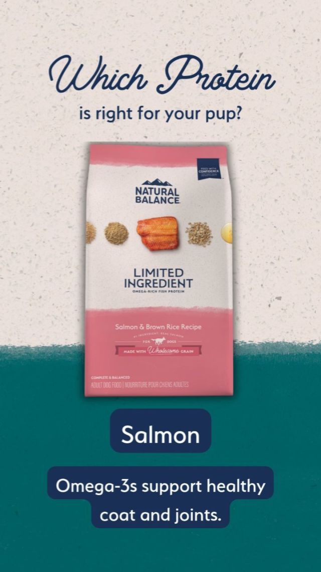 Home Natural Balance Pet Food Natural Balance Pet Food